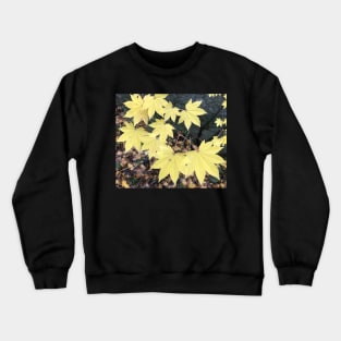 Fall is Here Now Crewneck Sweatshirt